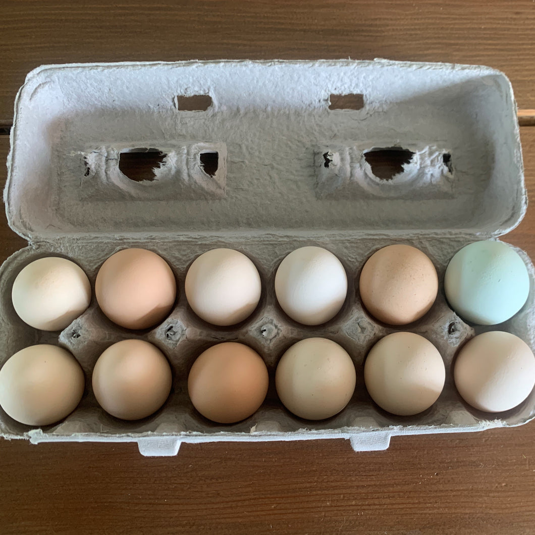 Pasture Raised Eggs