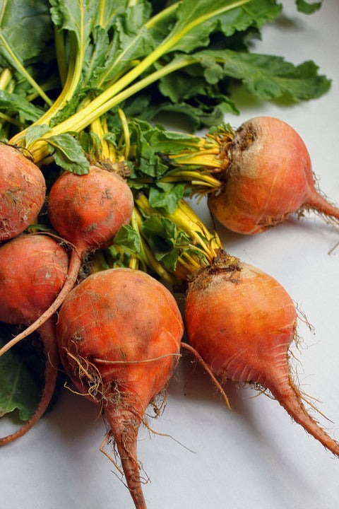 Golden Beets