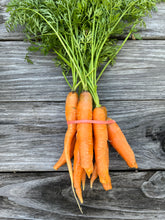 Load image into Gallery viewer, Carrots
