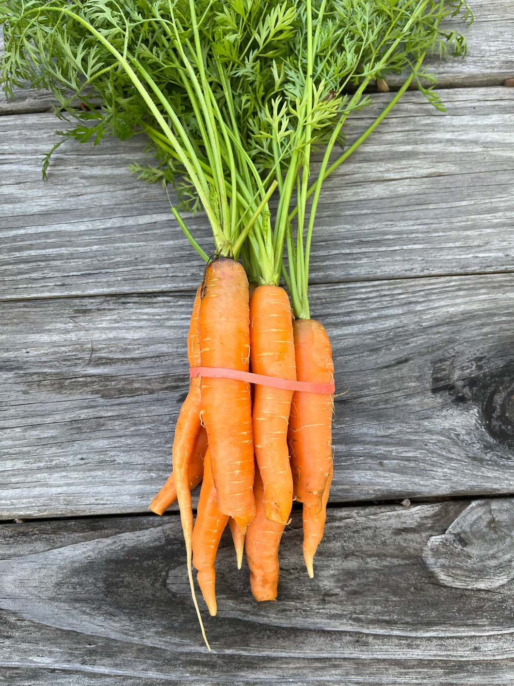 Carrots