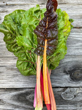 Load image into Gallery viewer, Swiss Chard
