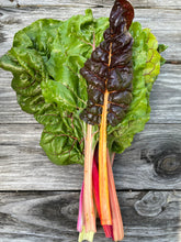 Load image into Gallery viewer, Swiss Chard
