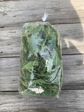 Load image into Gallery viewer, Kale - Red Russian
