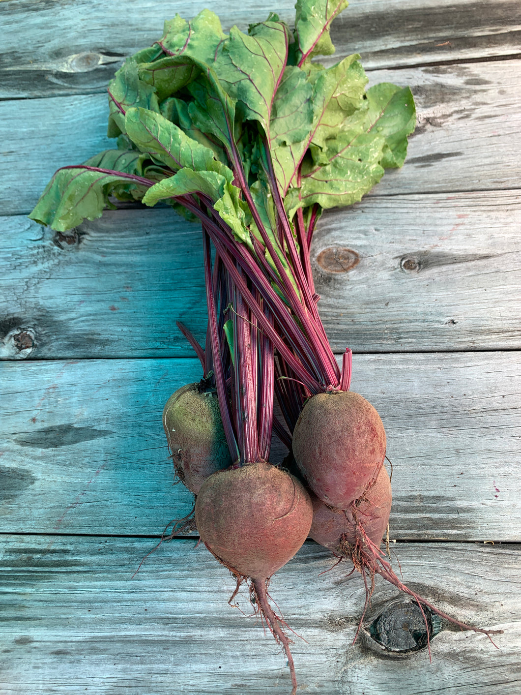Beets